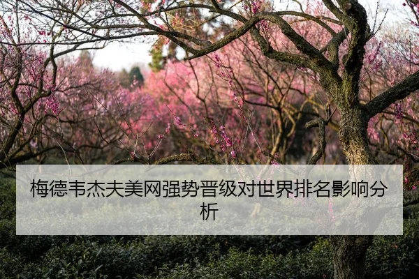 梅德韦杰夫美网强势晋级对世界排名影响分析